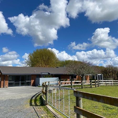 Unique Equestrian Lifestyle Bed & Breakfast Tamahere Exterior foto