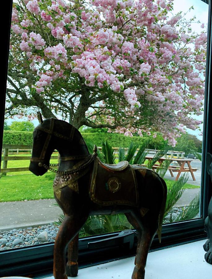 Unique Equestrian Lifestyle Bed & Breakfast Tamahere Exterior foto