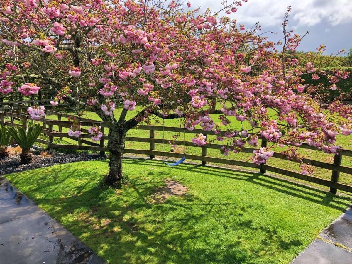 Unique Equestrian Lifestyle Bed & Breakfast Tamahere Exterior foto