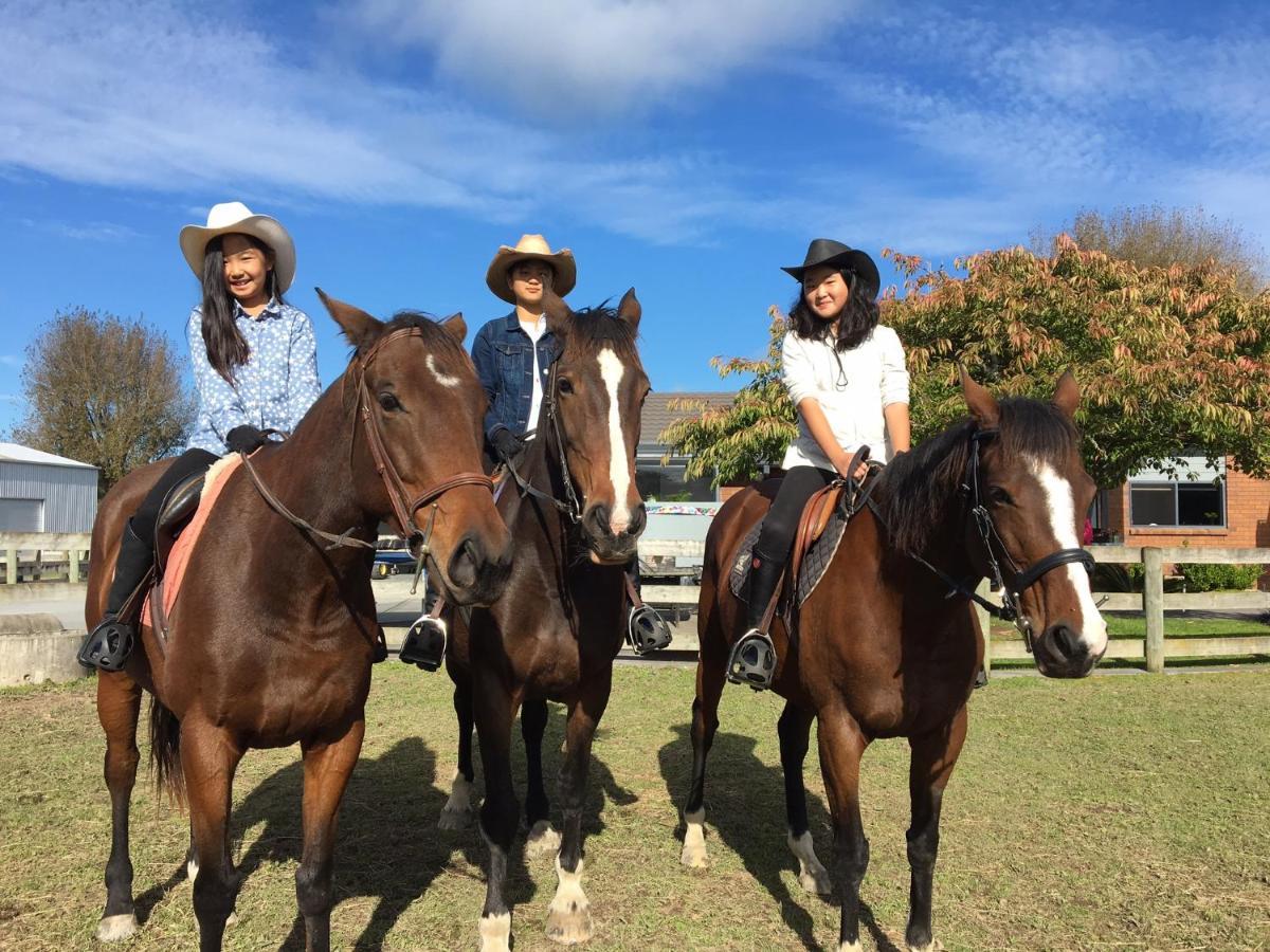 Unique Equestrian Lifestyle Bed & Breakfast Tamahere Exterior foto