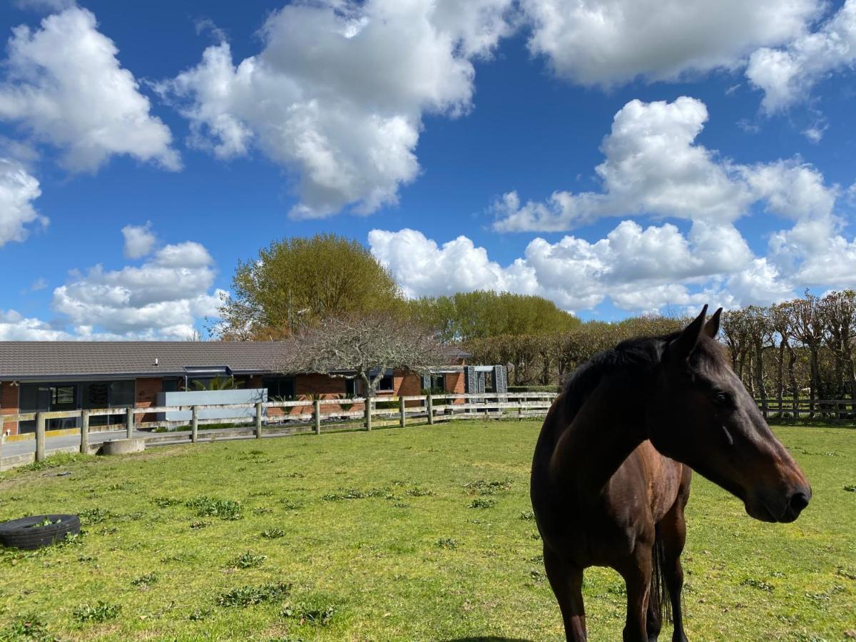 Unique Equestrian Lifestyle Bed & Breakfast Tamahere Exterior foto