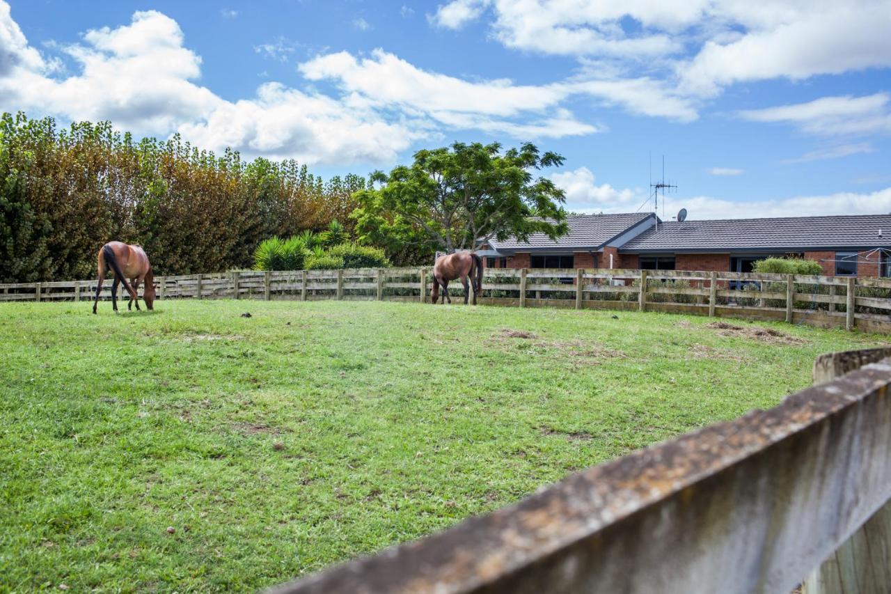 Unique Equestrian Lifestyle Bed & Breakfast Tamahere Exterior foto