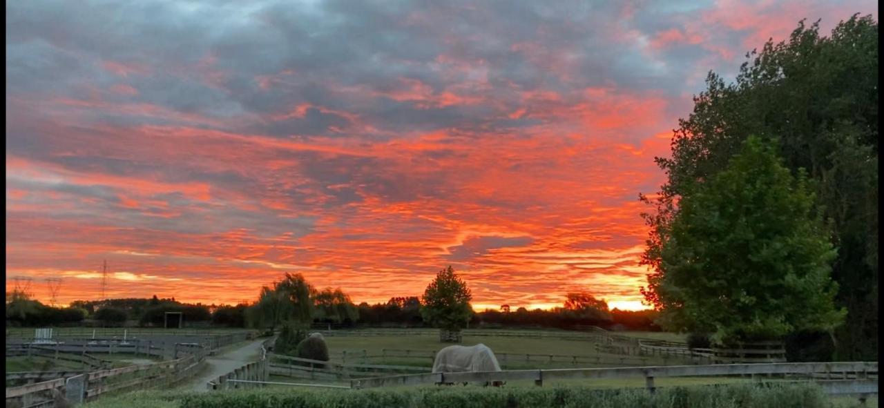 Unique Equestrian Lifestyle Bed & Breakfast Tamahere Exterior foto